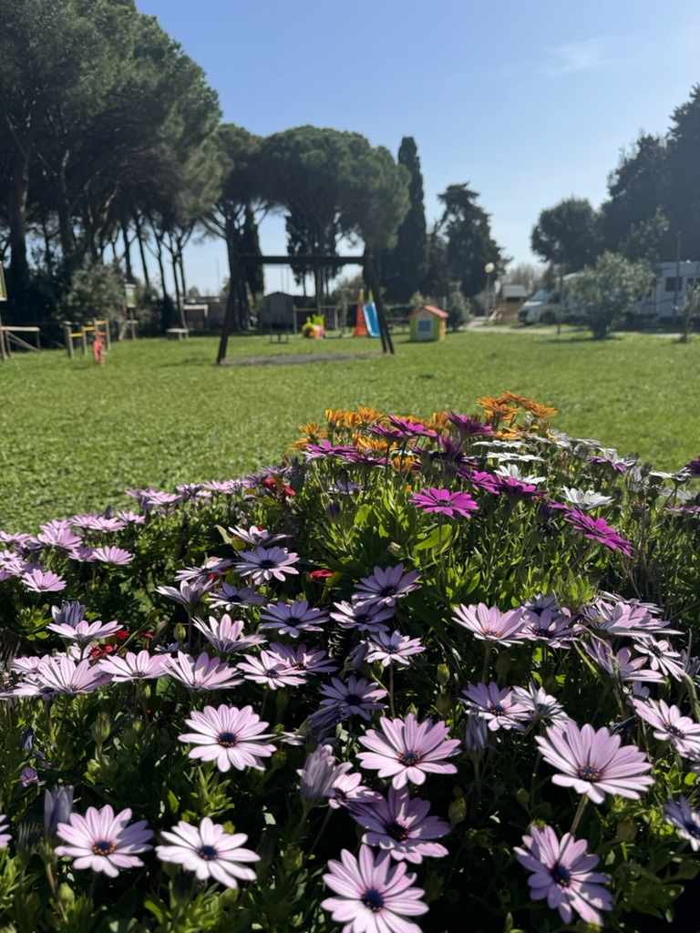 Gruppi 6 parco pineta