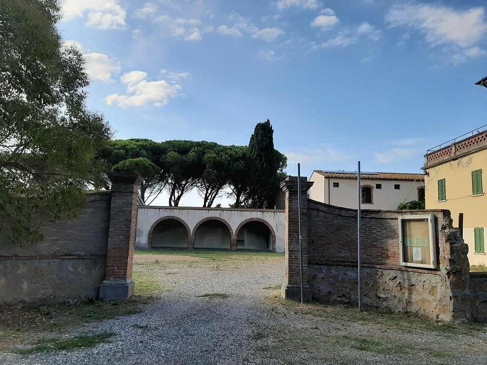 museo archeologico cecina
